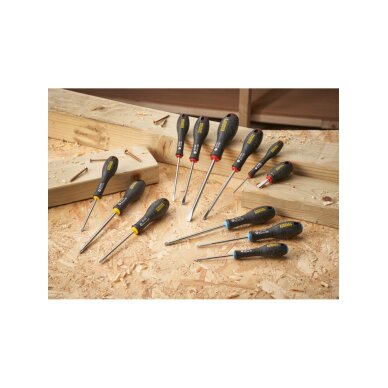 12vnt. FATMAX S/D SET PH/PZ/FL/PARA  EU 4