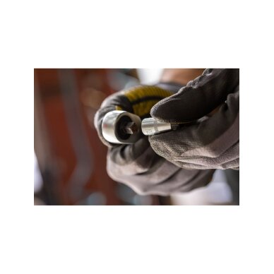 1/4 Šešiakampė galvutė 5 mm 6