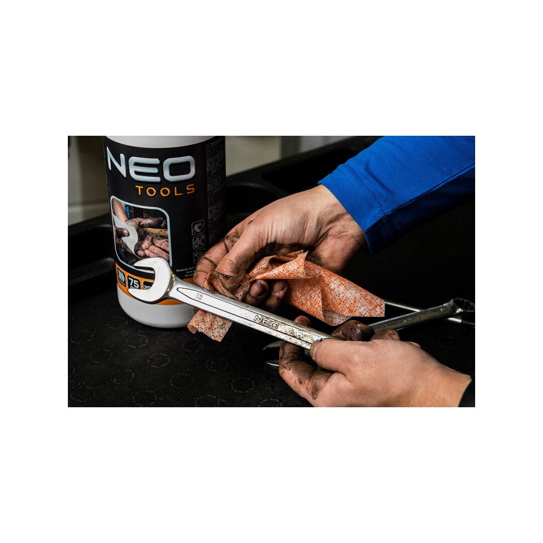 Abrazyvinės servetėlės rankoms plauti, paviršiams valyti, 75 vnt., 20x21 3 Abrazyvinės servetėlės rankoms plauti, paviršiams valyti, 75 vnt., 20x21 3