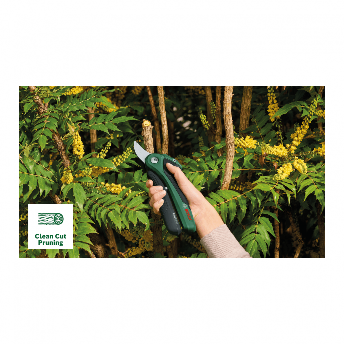 Akumuliatorinis sekatorius Bosch EasyPrune, 3.6V (06008B2102) 2 Akumuliatorinis sekatorius Bosch EasyPrune, 3.6V (06008B2102) 2