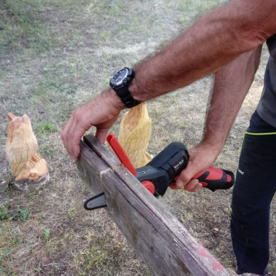 Akumuliatorinis grandininis pjūkliukas Blue Bird CS 22-04, 12.6V, 2.5 Ah 2 Akumuliatorinis grandininis pjūkliukas Blue Bird CS 22-04, 12.6V, 2.5 Ah 2