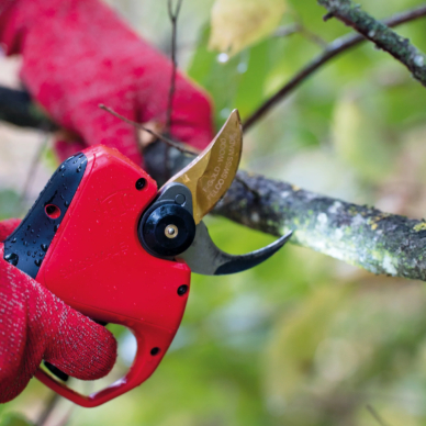 Akumuliatorinis sekatorius FELCO 834W 1 Akumuliatorinis sekatorius FELCO 834W 1