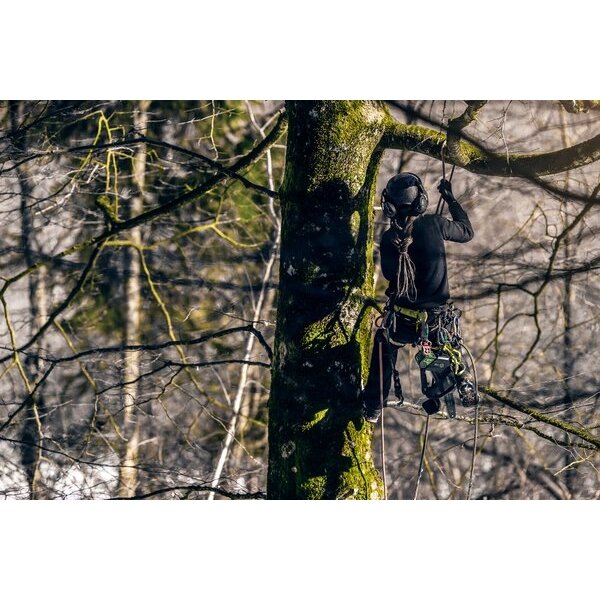 Akumuliatorinis grandininis pjūklas Greenworks GD40TCSK2, 40 V, 2,0 Ah, 10", 1/4", 58DL 3 Akumuliatorinis grandininis pjūklas Greenworks GD40TCSK2, 40 V, 2,0 Ah, 10", 1/4", 58DL 3