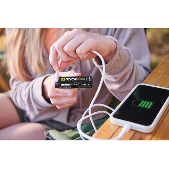 Akumuliatorius Ryobi RB4L30, 4 V, 3.0 Ah 1 Akumuliatorius Ryobi RB4L30, 4 V, 3.0 Ah 1