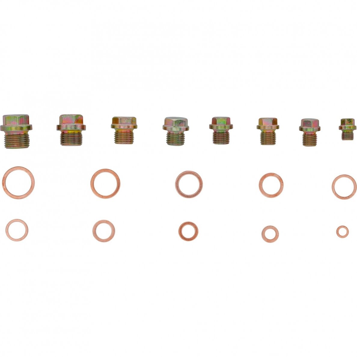 Alyvos išleidimo kaiščio varžtai ir varinių sandarinimo žiedų asortimentas | 534 vnt. (8118) 1