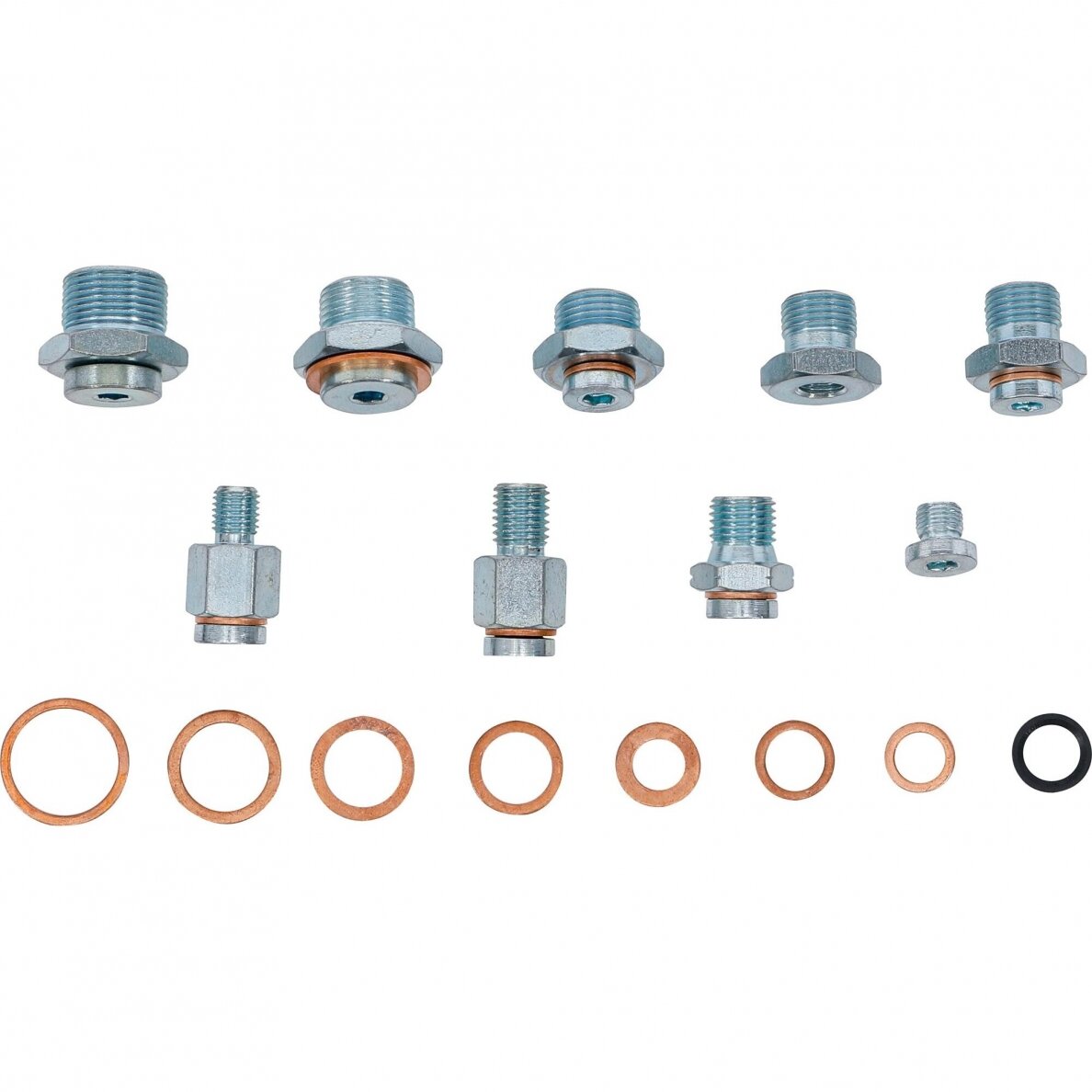 Alyvos išleidimo kaiščių remonto asortimentas | 63 vnt. (70184) 2