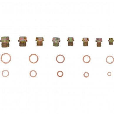 Alyvos išleidimo kaiščio varžtai ir varinių sandarinimo žiedų asortimentas | 534 vnt. (8118) 1 Alyvos išleidimo kaiščio varžtai ir varinių sandarinimo žiedų asortimentas | 534 vnt. (8118) 1