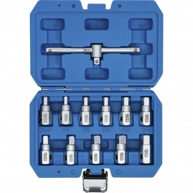 Alyvos nuleidimo kamščių antgalių rinkinys | 12 vnt. (1017) 1 Alyvos nuleidimo kamščių antgalių rinkinys | 12 vnt. (1017) 1