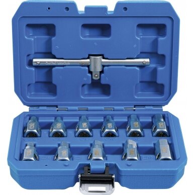 Alyvos nuleidimo kamščių antgalių rinkinys | 12 vnt. (1017) Alyvos nuleidimo kamščių antgalių rinkinys | 12 vnt. (1017)