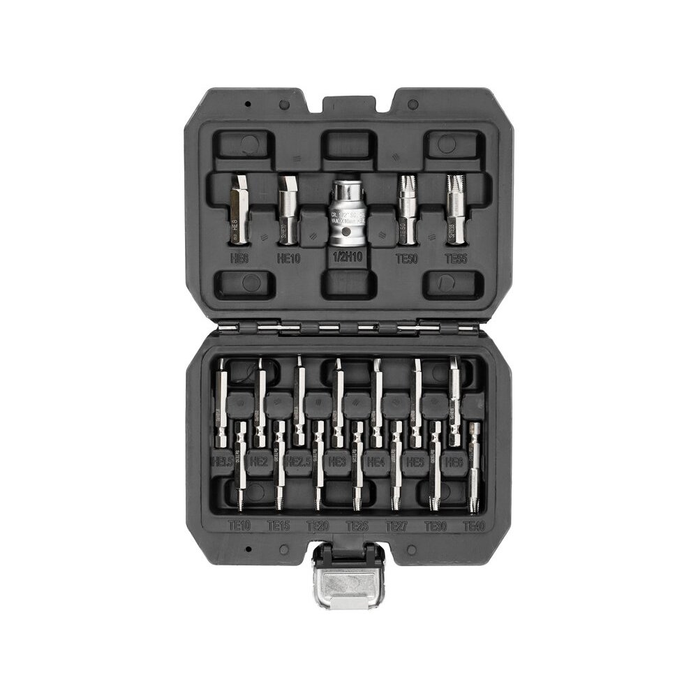 Antgalių rinkinys | sugadintiems T-Star (Torx) ir hex | 19 vnt. (YT-04584)