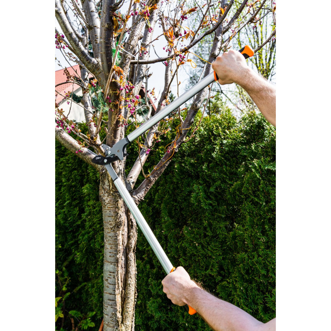 Antkaklinės genėjimo žirklės 765 mm, diapazonas iki 40 mm, pavara, didinanti spaudimo jėgą 60 %. 6