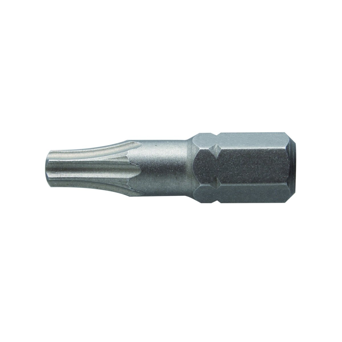 Antgaliai TORX T10 / 25mm*2vnt / S2 plieno