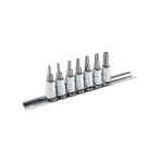 Antgaliai su galvute Torx  ir ertme T10-T40, 1/4"