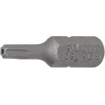 Antgalis | 6,3 mm (1/4") | T-Star su skyle (Torx) T15 (2440)