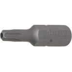 Antgalis | 6,3 mm (1/4") | T-Star su skyle (Torx) T20 (2441)