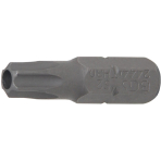 Antgalis | 6.3 mm (1/4") | T-star su skyle (Torx) T30 (2444)