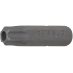 Antgalis | 6.3 mm (1/4") | T-star su skyle (Torx) T40 (2445)