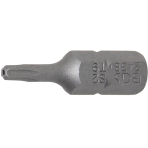 Antgalis | 6,3 mm (1/4") | T-Star su skyle (Torx) T9 (2438)