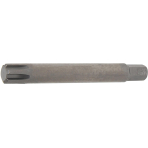 Antgalis | ilgis 100 mm | 10 mm (3/8") | Spline (RIBE) M13 (4779)