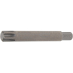 Antgalis | ilgis 100 mm | 10 mm (3/8") | Spline (RIBE) M14 (4780)