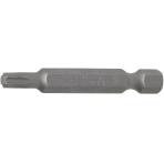 Antgalis | ilgis 50 mm | 6,3 mm (1/4") T-Star (Torx) T25 (4592)