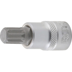 Antgalis įpresuotas į galvutę | 10 mm (3/8") | Spline (XZN) M12 (2587)