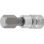 Antgalis įpresuotas į galvutę | 6,3 mm (1/4") | hex šešiakampis 10 mm (2161-10)
