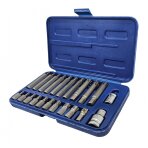 Antgalių rinkinys | 10 mm (3/8") storis | Spline (Ribe) | 22 vnt. (RB21S)