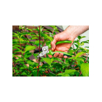 Anvil pruning scissors 190 mm, cutting diameter 10 mm