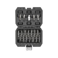 Antgalių rinkinys | sugadintiems T-Star (Torx) ir hex | 19 vnt. (YT-04584)