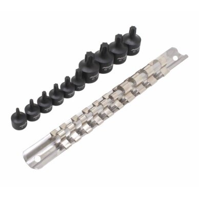Antgaliai  1/4" + 3/8" Cr-Mo TORX trumpi 10vnt 2