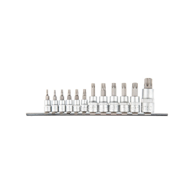 Antgaliai su galvute Torx  ir ertme T10-T40, 1/4"