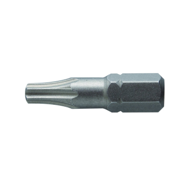 Antgaliai TORX T20 / 25mm*2vnt / S2 plieno Antgaliai TORX T20 / 25mm*2vnt / S2 plieno