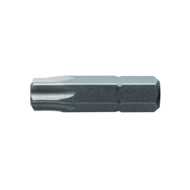 Antgaliai TORX T40 / 25mm*2vnt / S2 plieno Antgaliai TORX T40 / 25mm*2vnt / S2 plieno