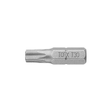 Antgalis TORX 1/4 T25 (25) 1