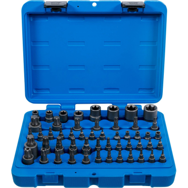 Antgalių ir galvučių rinkinys | E-Type / T-Star (Torx) / T-Star su skyle (Torx) / TP-Star (Torx Plus) | 52 vnt. (9839)