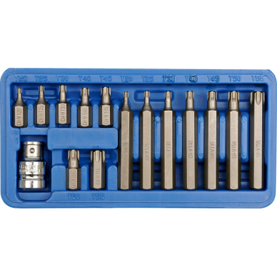 Antgalių rinkinys | T-Star (Torx) | 15 vnt. (66580)