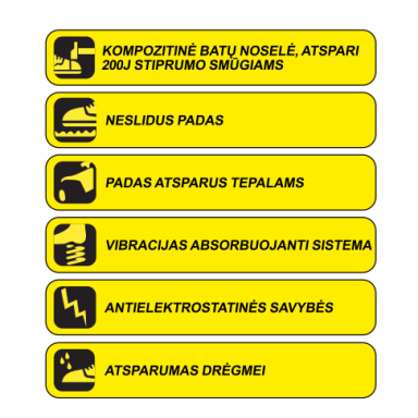 Apsauginiai batai Dedra BH9P4VK-39, dydis 39