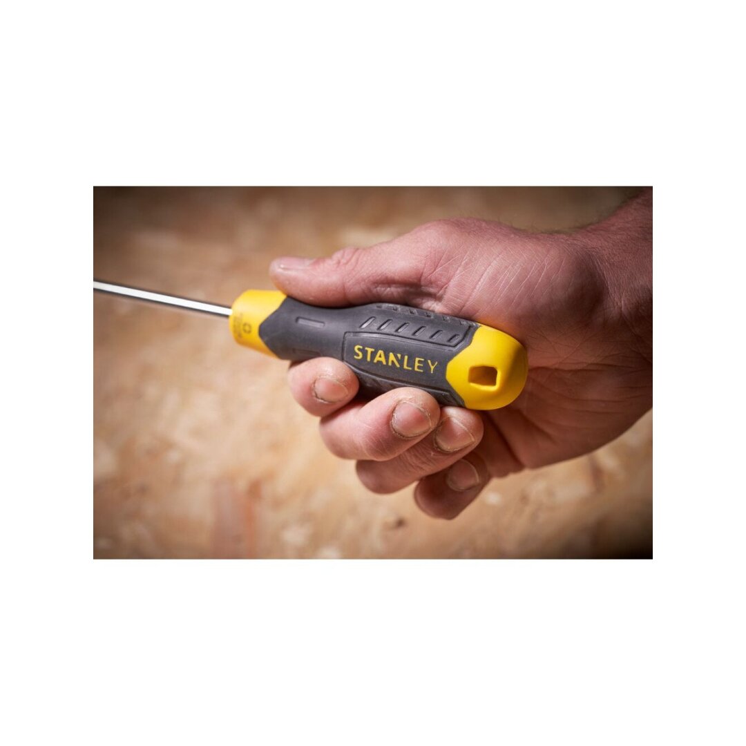 Atsuktuvas kryžminis PZ 2PT X 100mm 6