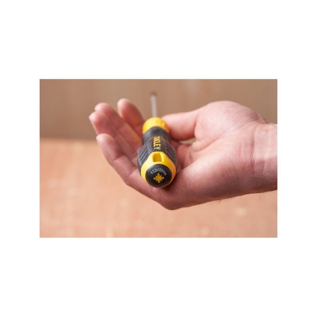 Atsuktuvas kryžminis PZ2 x 100mm 3