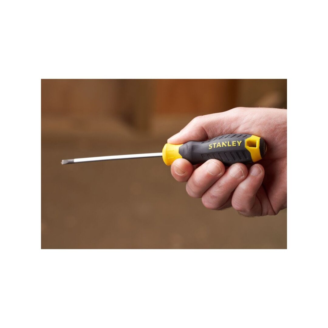 Atsuktuvas plokščias 4 x 100mm 1 Atsuktuvas plokščias 4 x 100mm 1