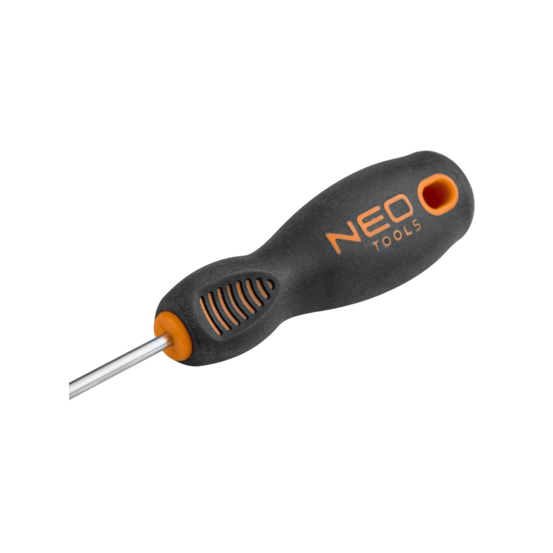 Atsuktuvas plokščias 4.0x100 mm 3