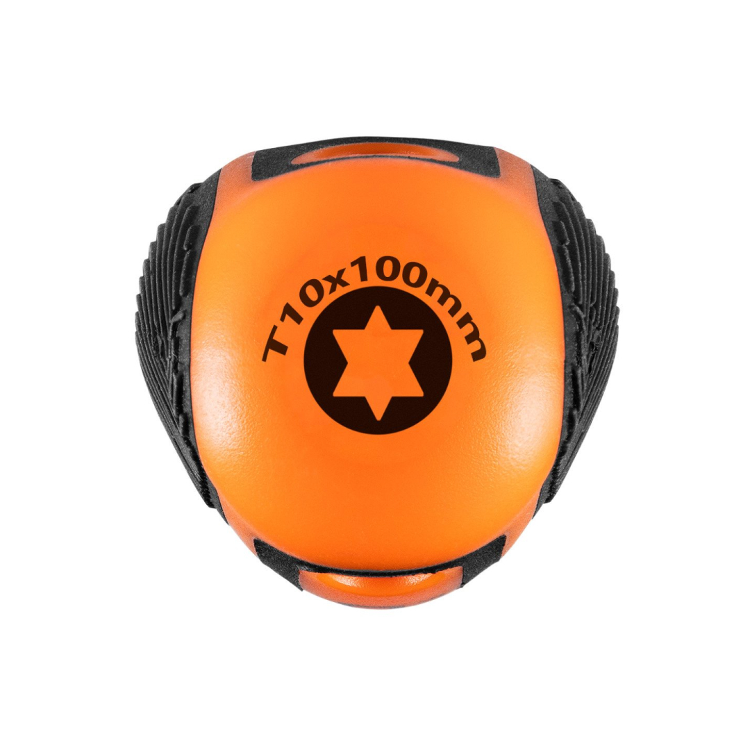 Atsuktuvas Torx T10x100mm 3