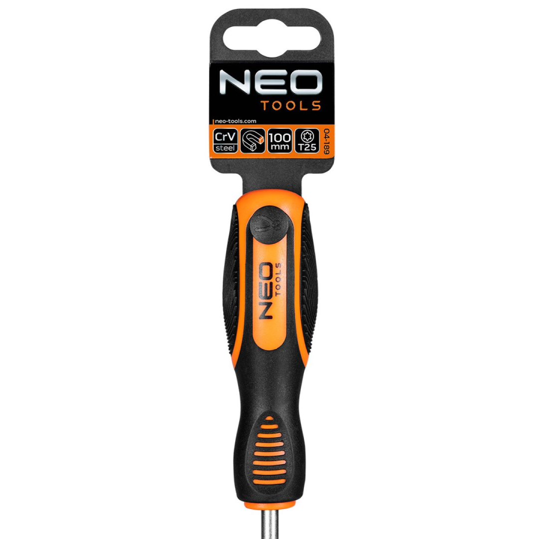 Atsuktuvas Torx T25x100mm 6