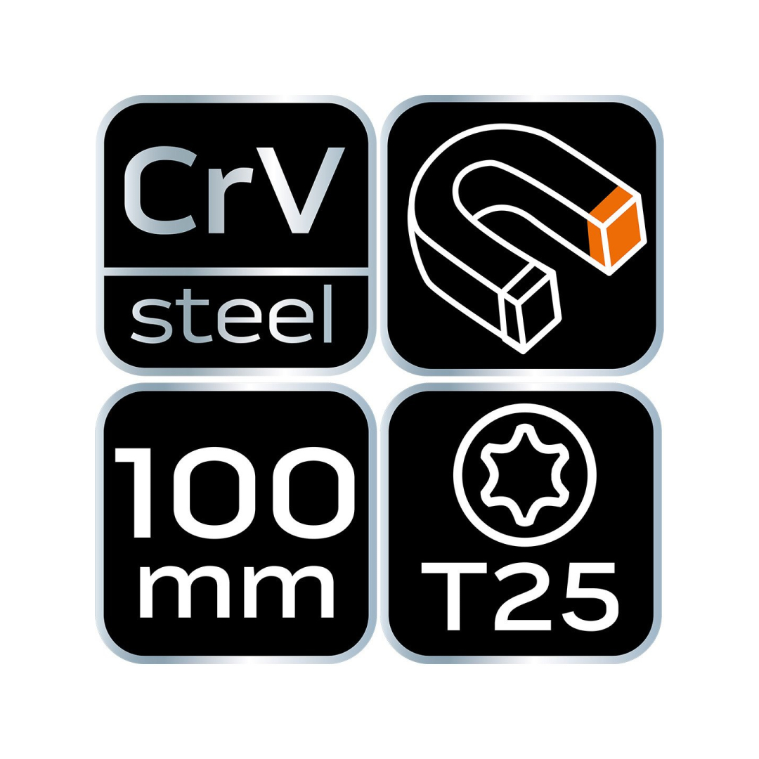 Atsuktuvas Torx T25x100mm 7