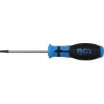 Atsuktuvas | T-Star (Torx) T20 (4919)