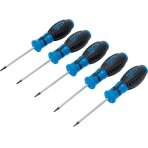 Atsuktuvų rinkinys | T-Star su skyle (Torx) | T6 - T10 | 5 vnt. (6826)