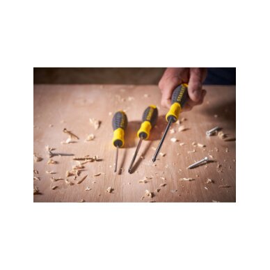 Atsuktuvas kryžminis PH 2PT X 100mm (4") 3