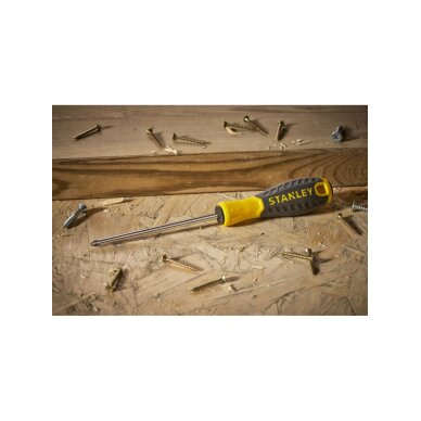 Atsuktuvas kryžminis PH 2PT X 100mm (4") 5