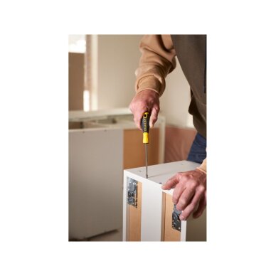 Atsuktuvas kryžminis PH 2PT X 100mm (4")